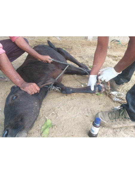 Gaumata baby , foot injury sector 62 noida