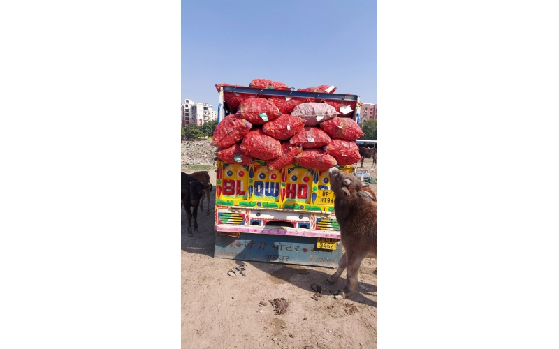 Mahindra Bolero Ambulance/Food Vehicle