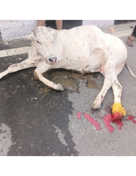 Gaumata Spine Injury, Shoulder Dislocated – Mayur Vihar Phase 2 Delhi