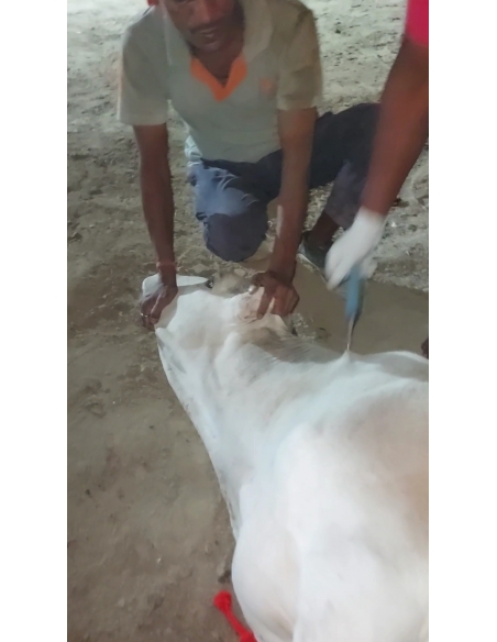 Gaumata Spine Injury, Shoulder Dislocated – Mayur Vihar Phase 2 Delhi