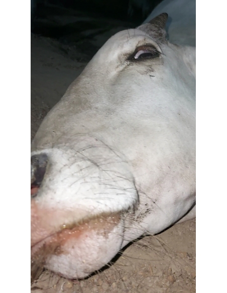 Gaumata Spine Injury, Shoulder Dislocated – Mayur Vihar Phase 2 Delhi