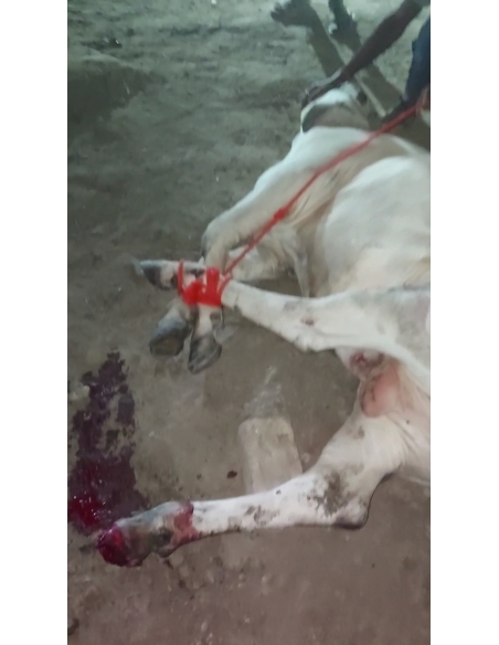 Gaumata Spine Injury, Shoulder Dislocated – Mayur Vihar Phase 2 Delhi