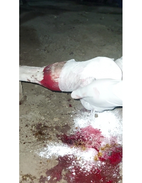 Gaumata Spine Injury, Shoulder Dislocated – Mayur Vihar Phase 2 Delhi
