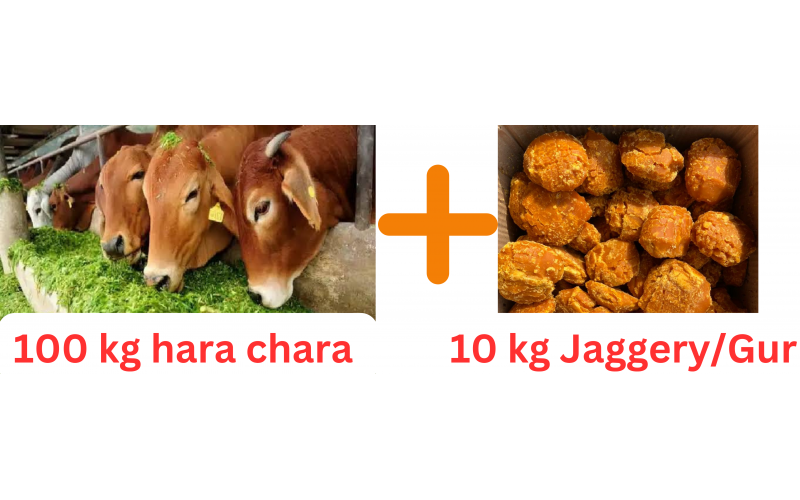 Hara Chara + Jaggery