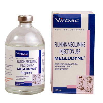 Megludyne Pain Killer- 100 ml