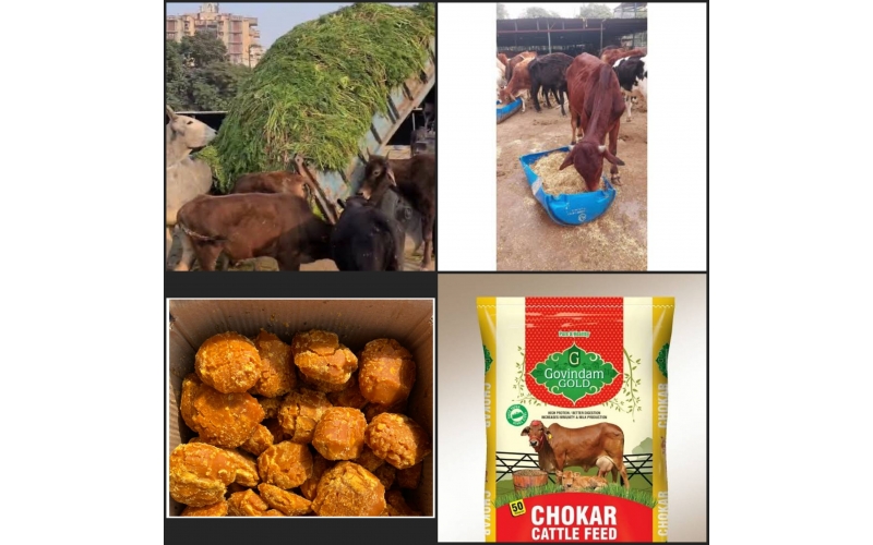 Hara chara + Bhusa + Jaggery + Choker