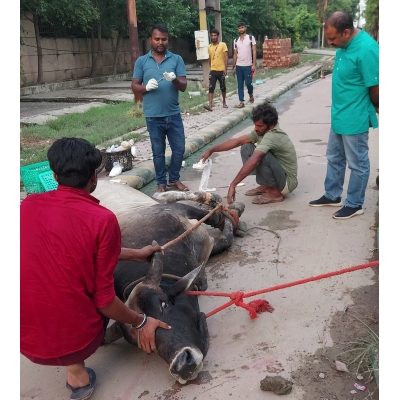 Sponsor 1 Month Treatment