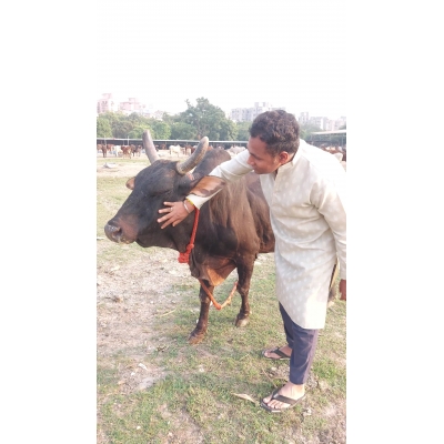 Adopt Blind Gaumata