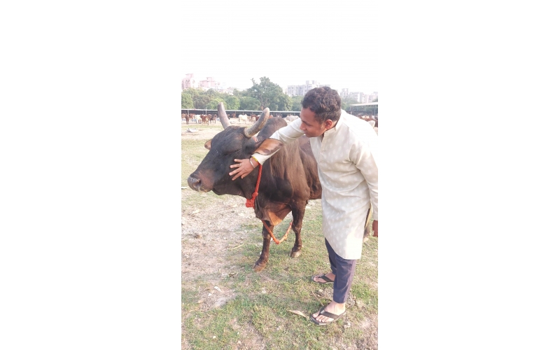 Adopt Blind Gaumata