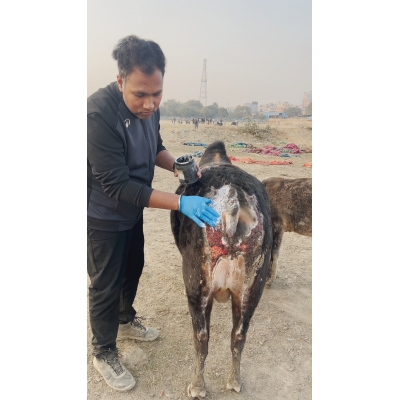 Sponsor 1 Month Treatment