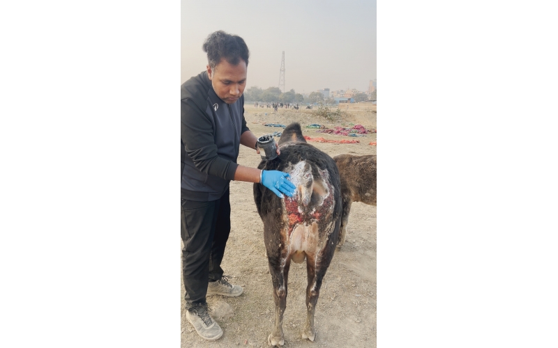 Sponsor 1 Month Treatment