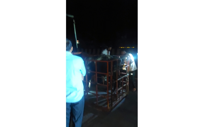 Nandi Rescued – Hit & Run Accident,...