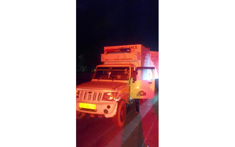 Nandi Rescued – Hit & Run Accident,...