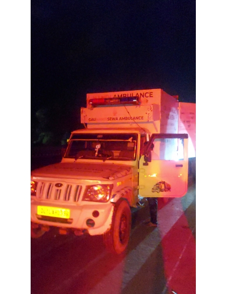 Nandi Rescued – Hit & Run Accident, Jewar