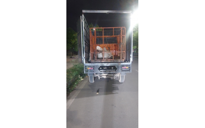Mahadev Nandi Rescued – Hit & Run...