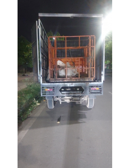 Mahadev Nandi Rescued – Hit & Run Accident, NH24 Delhi