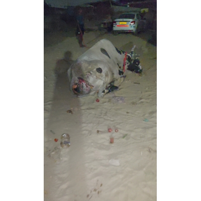 Mahadev Nandi Acid Attack...