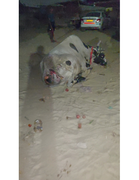 Mahadev Nandi Acid Attack Survivor – Behlolpur, Sector 65 Noida