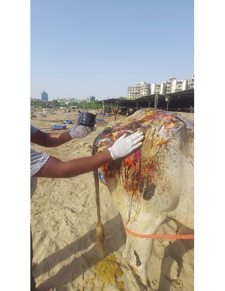 Mahadev Nandi Acid Attack Survivor – Behlolpur, Sector 65 Noida