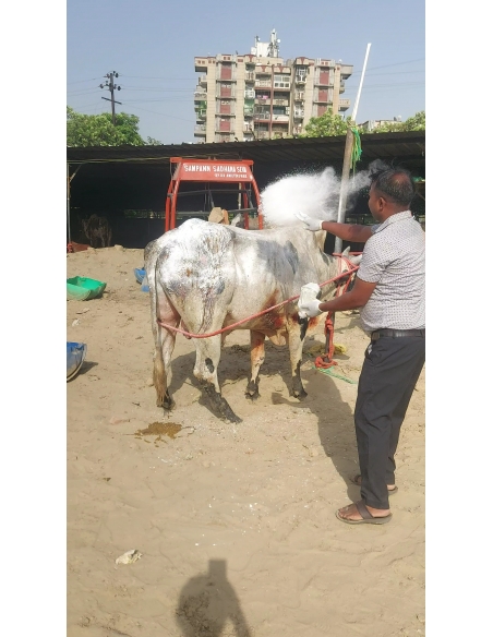 Mahadev Nandi Acid Attack Survivor – Behlolpur, Sector 65 Noida