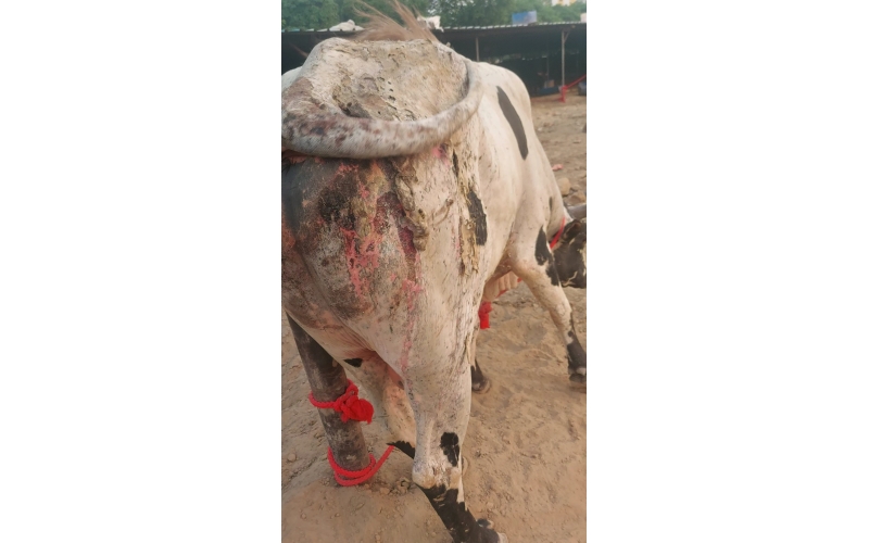 Mahadev Nandi Acid Attack Survivor –...