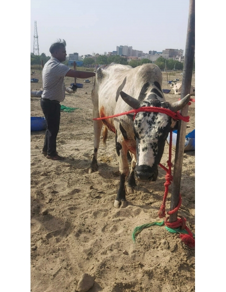 Mahadev Nandi Acid Attack Survivor – Behlolpur, Sector 65 Noida