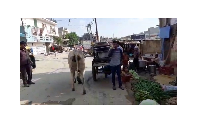 Nandi baba very sick, high fever... Nandi baba very sick, high fever...
