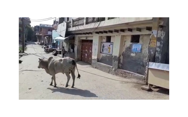Nandi baba very sick, high fever... Nandi baba very sick, high fever...