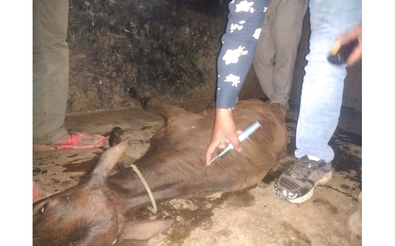 Gaumata baby spine injured Gaumata baby spine injured