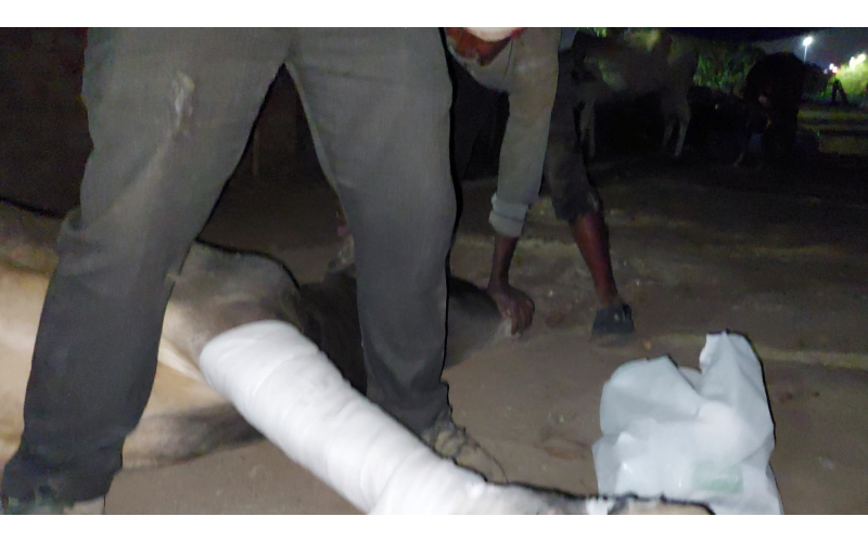 Nandi baba Fractured leg- hit and run... Nandi baba Fractured leg- hit and run...