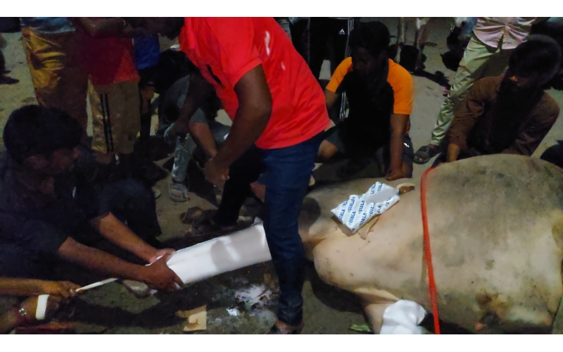 Nandi baba fractured leg, hit and run...