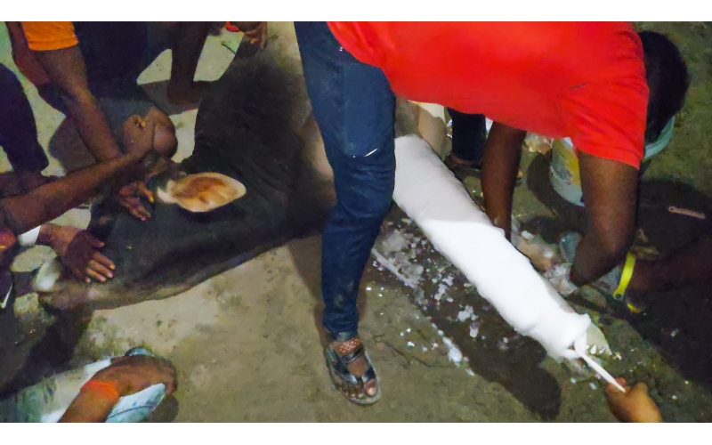 Nandi baba fractured leg, hit and run...