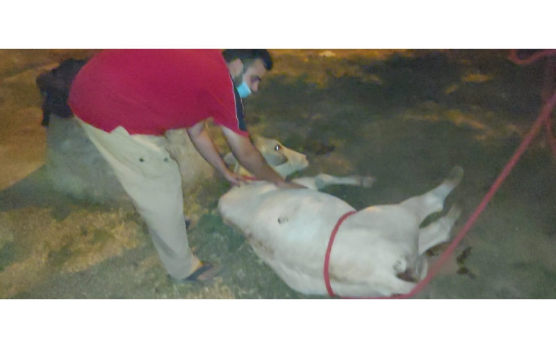 Gaumata baby high fever - noida... Gaumata baby high fever - noida...