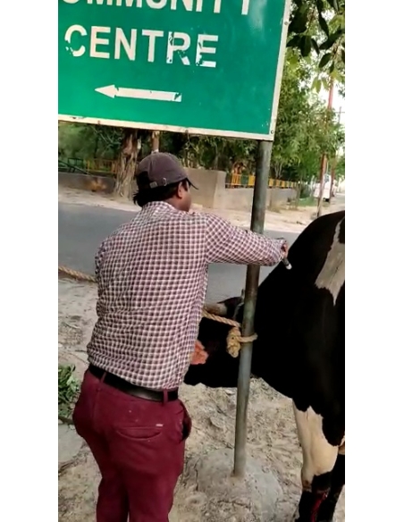 Nandi baba maggots wounds noida