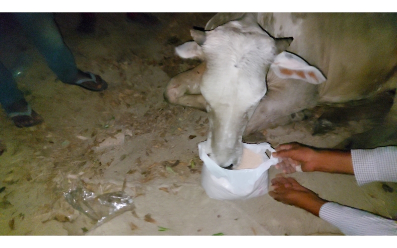 Gaumata,  high fever , sector 100 noida Gaumata,  high fever , sector 100 noida
