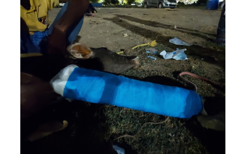 Gaumata baby fractured leg , sector...