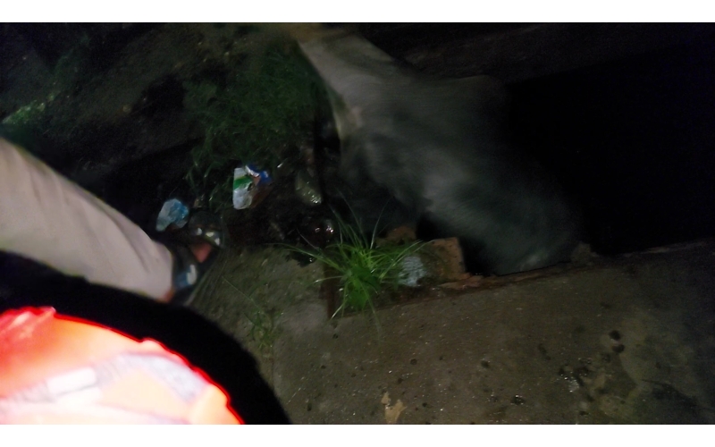 Gaumata baby fell in open Drainage at...