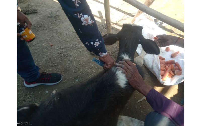 Gaumata baby spine injured, hit and... Gaumata baby spine injured, hit and...