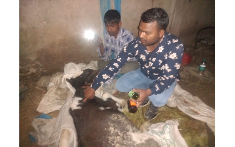 Gaumata baby spine injured, hit and... Gaumata baby spine injured, hit and...