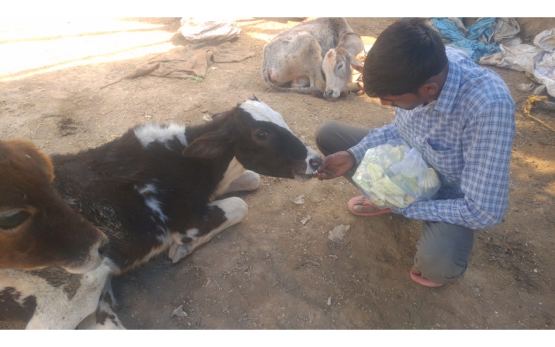 Gaumata baby spine injured, hit and... Gaumata baby spine injured, hit and...