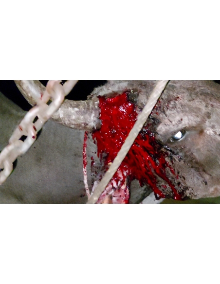 Nandi baba horn maggots deep wound