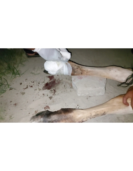 Gaumata baby foot rot infection