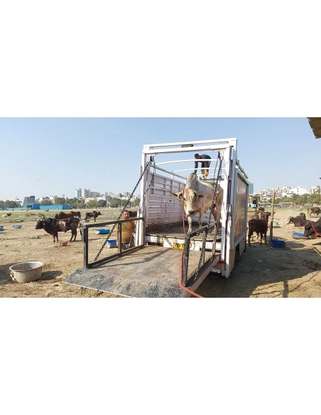 Mahadev Nandi - Horn stabbing in face