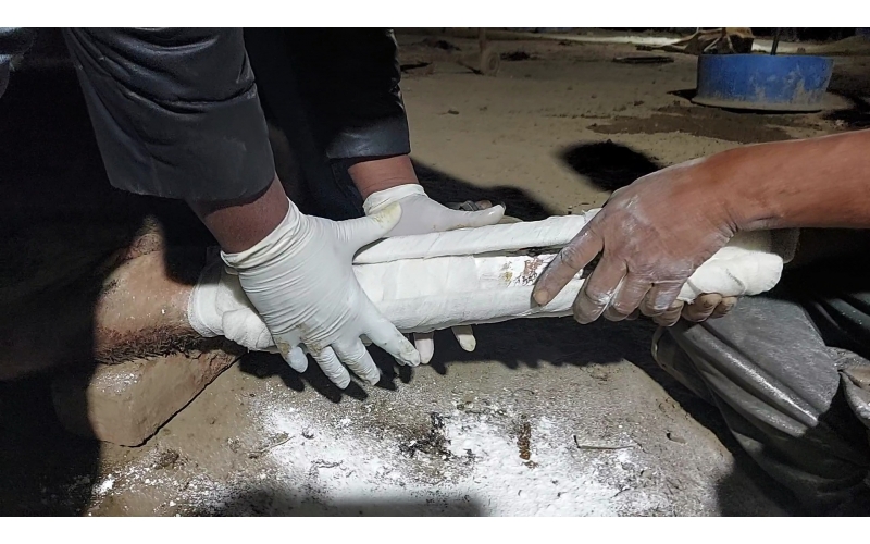 Gaumata/Cow baby fractured leg Delhi