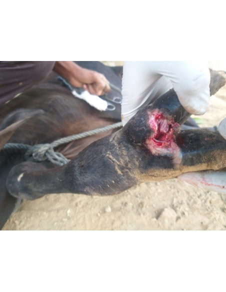 Gaumata baby , foot injury sector 62 noida