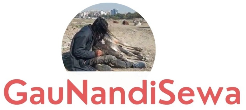 GauNandiSewa Hospital